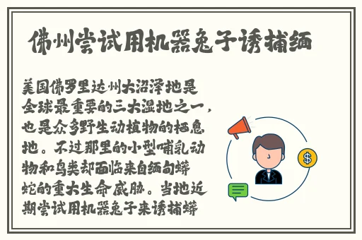 天美传媒春节回家相亲孟孟